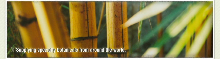 Golden Lotus Botanicals - Wholesale Traditional Chinese Herbs and Herbal Medicine